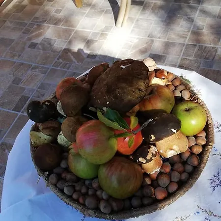 Agrifoglio Con Giardino