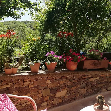 Agrifoglio Con Giardino Nocleg ze śniadaniem 3*