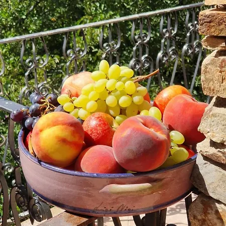 Agrifoglio Con Giardino 3* Aritzo