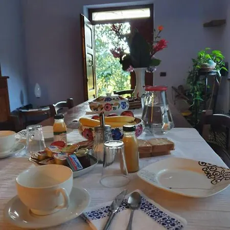 Agrifoglio Con Giardino 3*