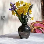 Agrifoglio Con Giardino Frühstückspension 3*