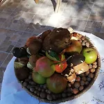 Agrifoglio Con Giardino