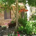 Agrifoglio Con Giardino 3* אריצו