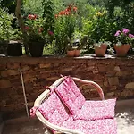 Agrifoglio Con Giardino אריצו