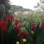 Agrifoglio Con Giardino Bed & Breakfast 3*