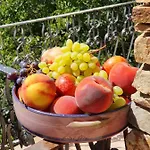 Agrifoglio Con Giardino 3* אריצו