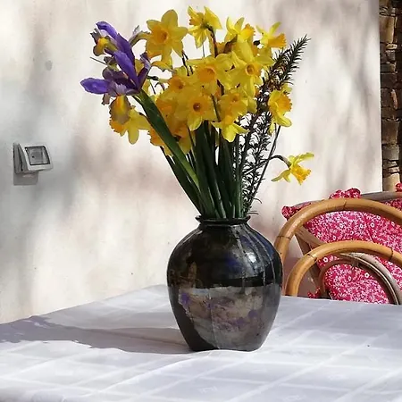 Agrifoglio Con Giardino Panzió 3*