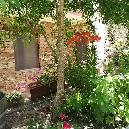 Agrifoglio Con Giardino * Aritzo