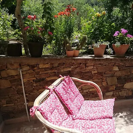 Agrifoglio Con Giardino Aritzo