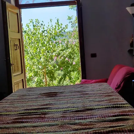 Agrifoglio Con Giardino *