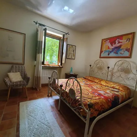 Agrifoglio Con Giardino