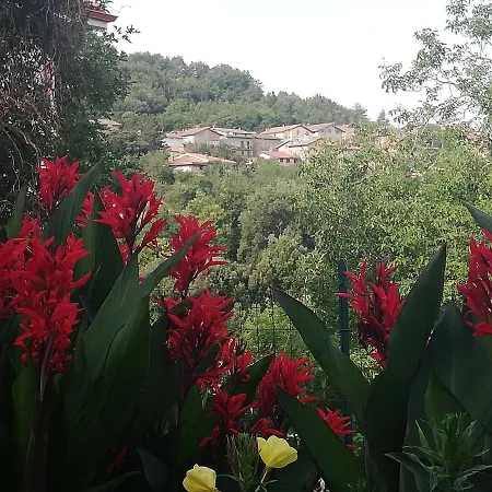 Agrifoglio Con Giardino Panzió 3*