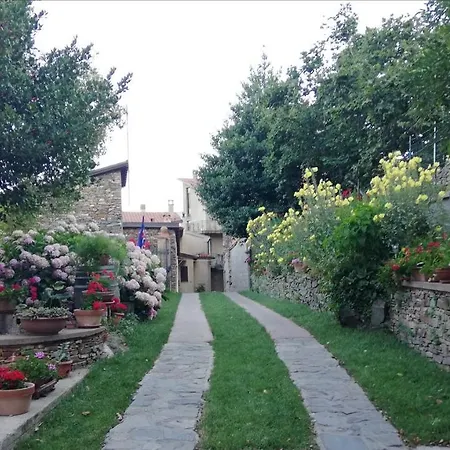 Agrifoglio Con Giardino אריצו