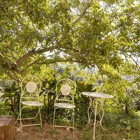 Agrifoglio Con Giardino לינה וארוחת בוקר אריצו