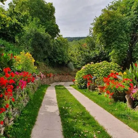 Bed & Breakfast Agrifoglio Con Giardino *